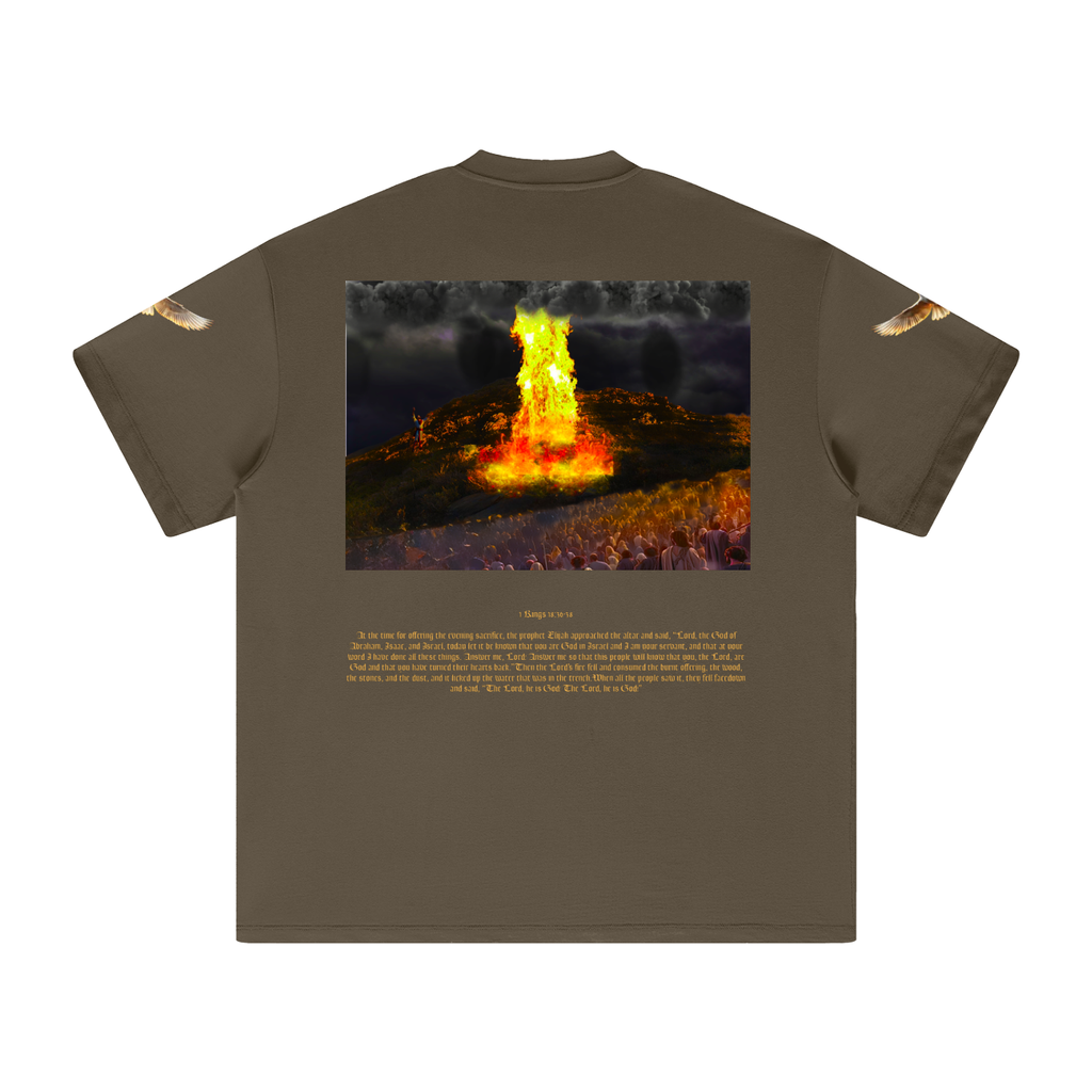 1 Kings 18:36-38 T-Shirt