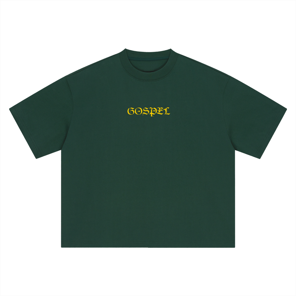 Matthew 3:16-17 T-Shirt