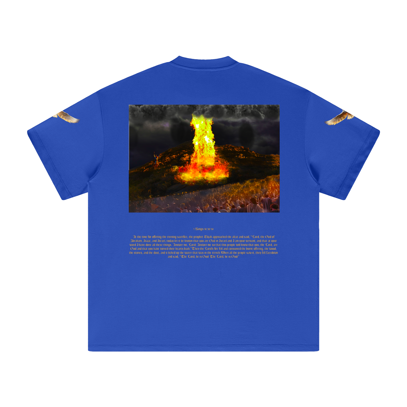 1 Kings 18:36-38 T-Shirt