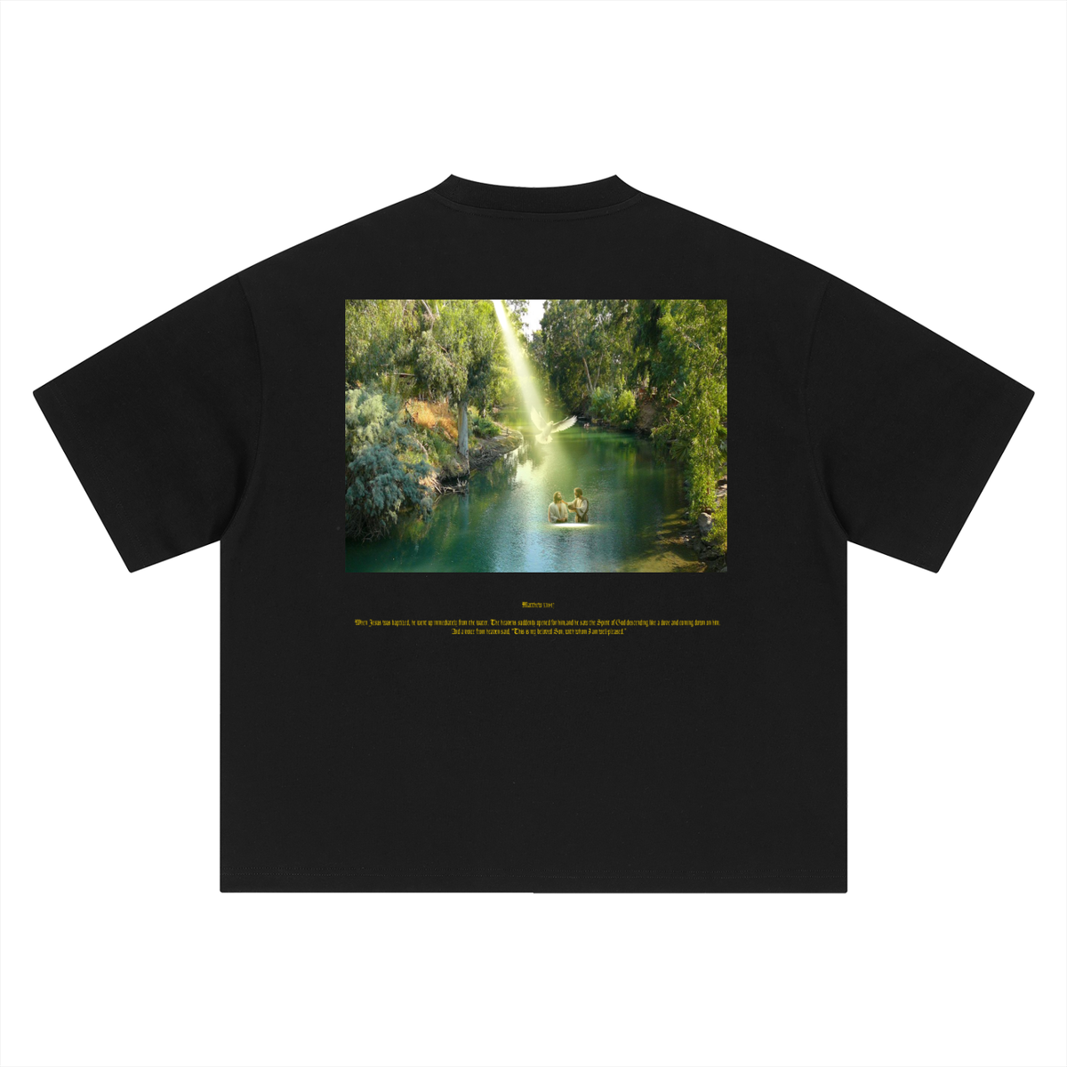 Matthew 3:16-17 T-Shirt