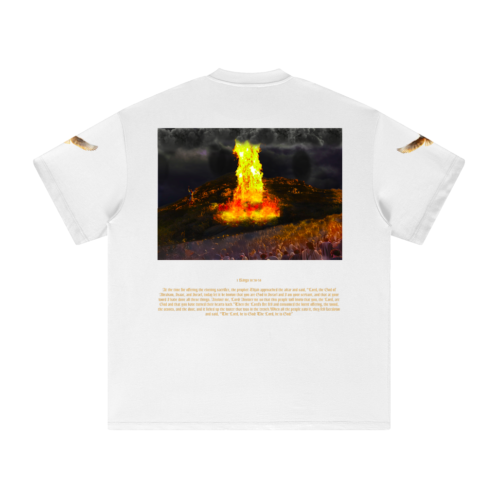 1 Kings 18:36-38 T-Shirt