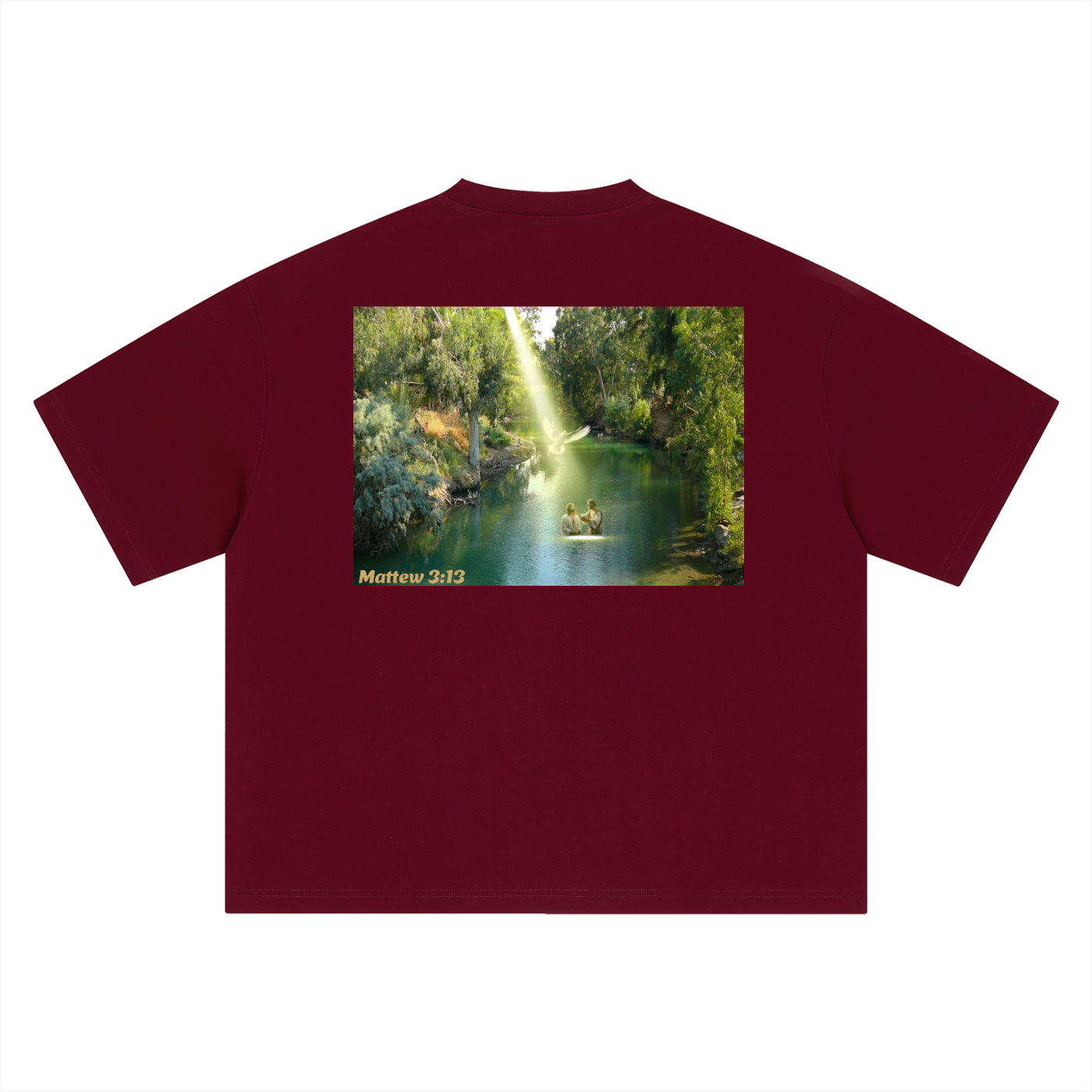 Matthew 3:13 T-Shirt