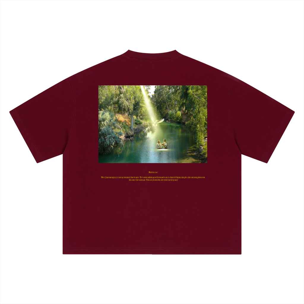 Matthew 3:16-17 T-Shirt