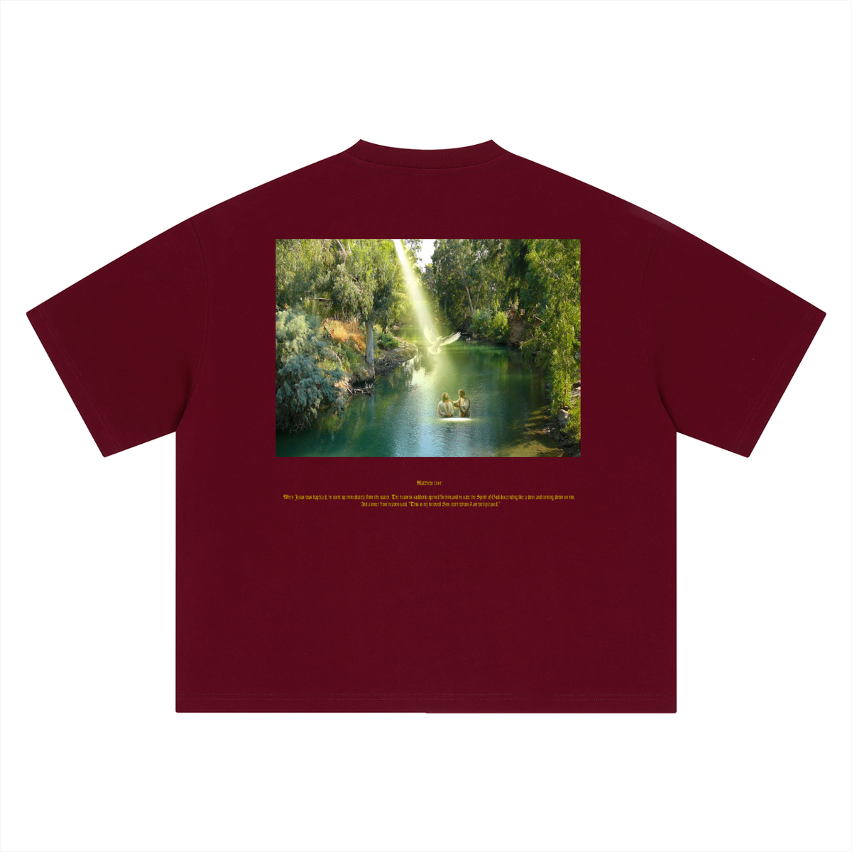 Matthew 3:16-17 T-Shirt