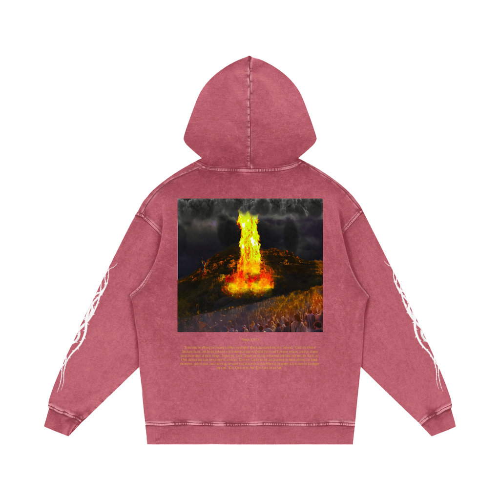 1 Kings 18:36-38 Hoodie
