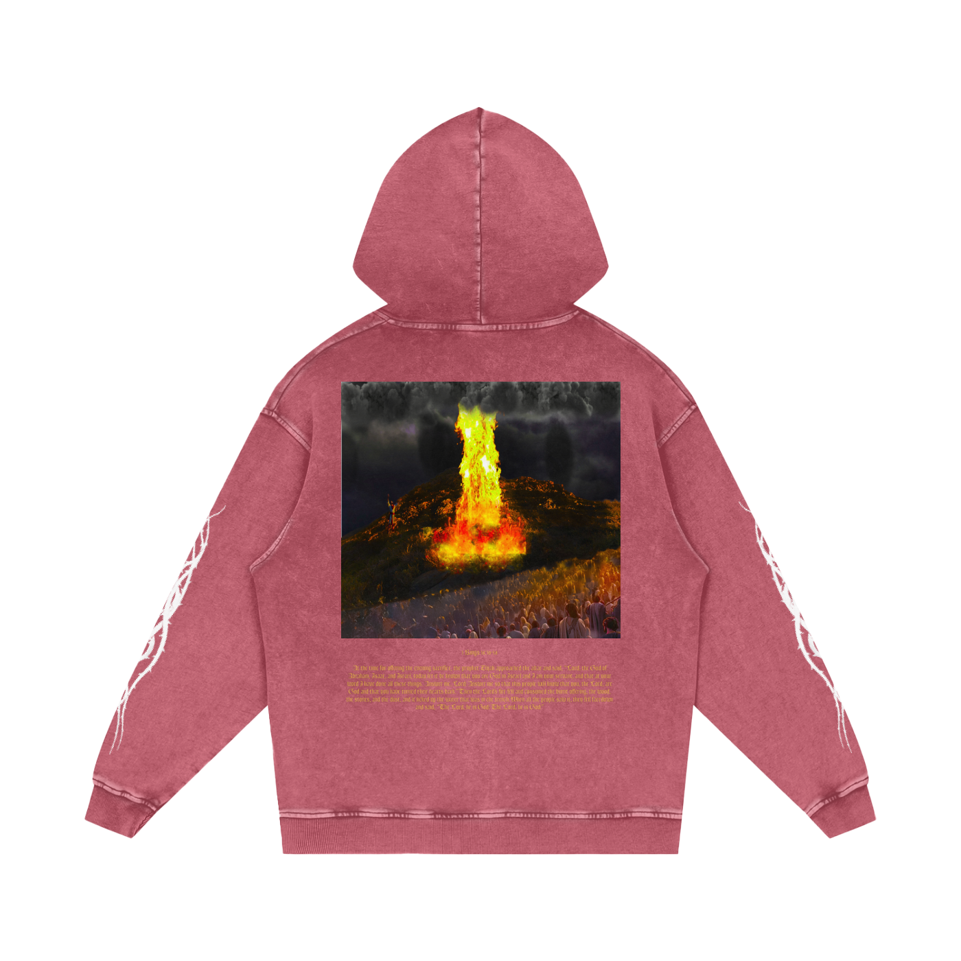 1 Kings 18:36-38 Hoodie
