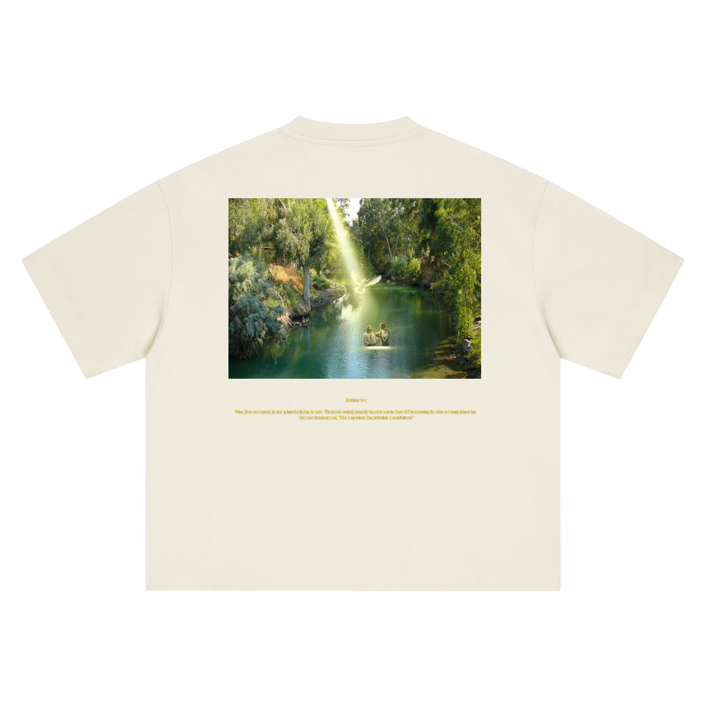 Matthew 3:16-17 T-Shirt