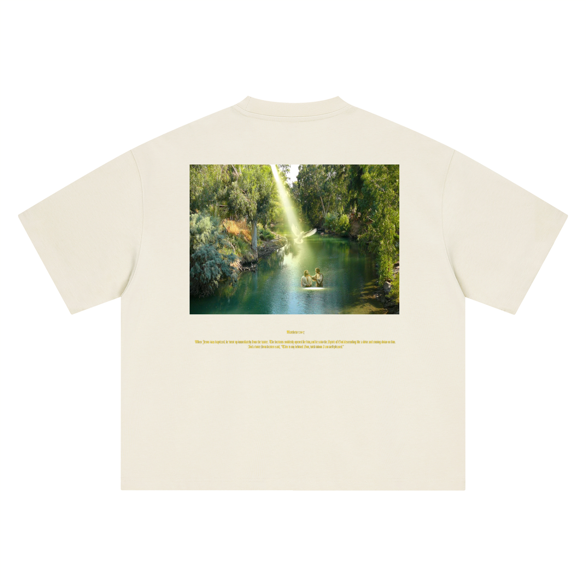 Matthew 3:16-17 T-Shirt
