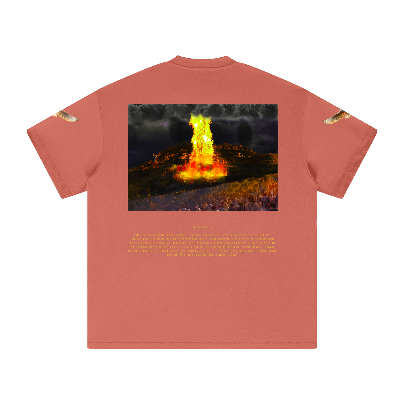 1 Kings 18:36-38 T-Shirt