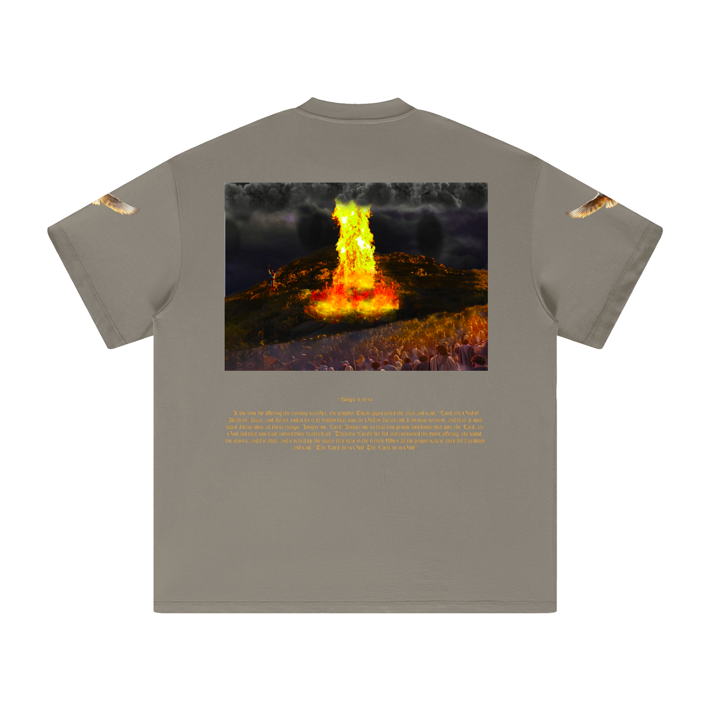 1 Kings 18:36-38 T-Shirt