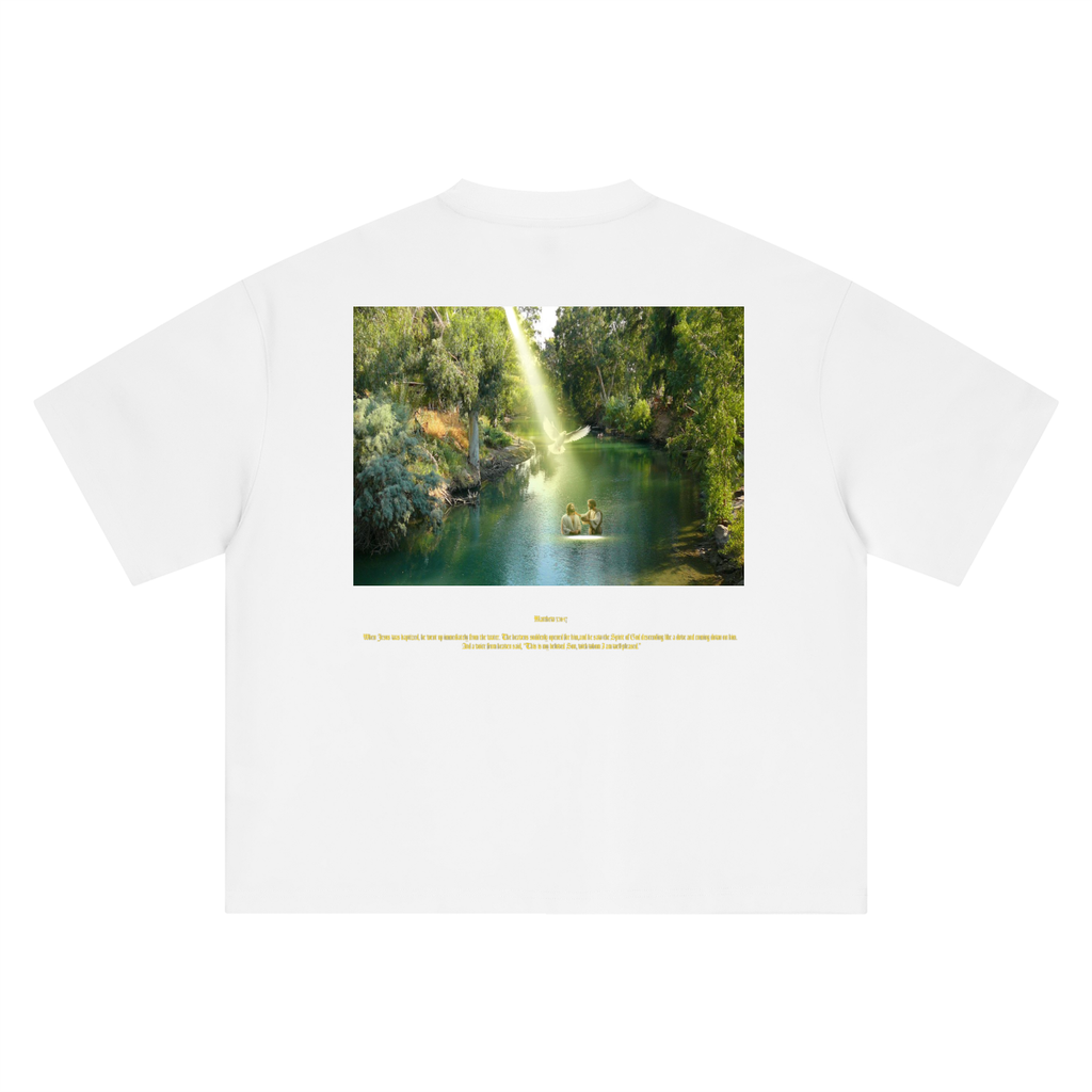 Matthew 3:16-17 T-Shirt