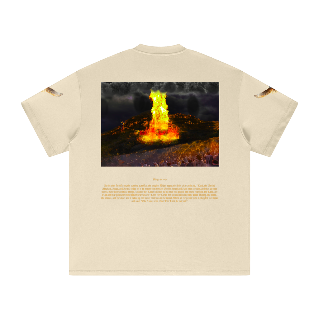1 Kings 18:36-38 T-Shirt