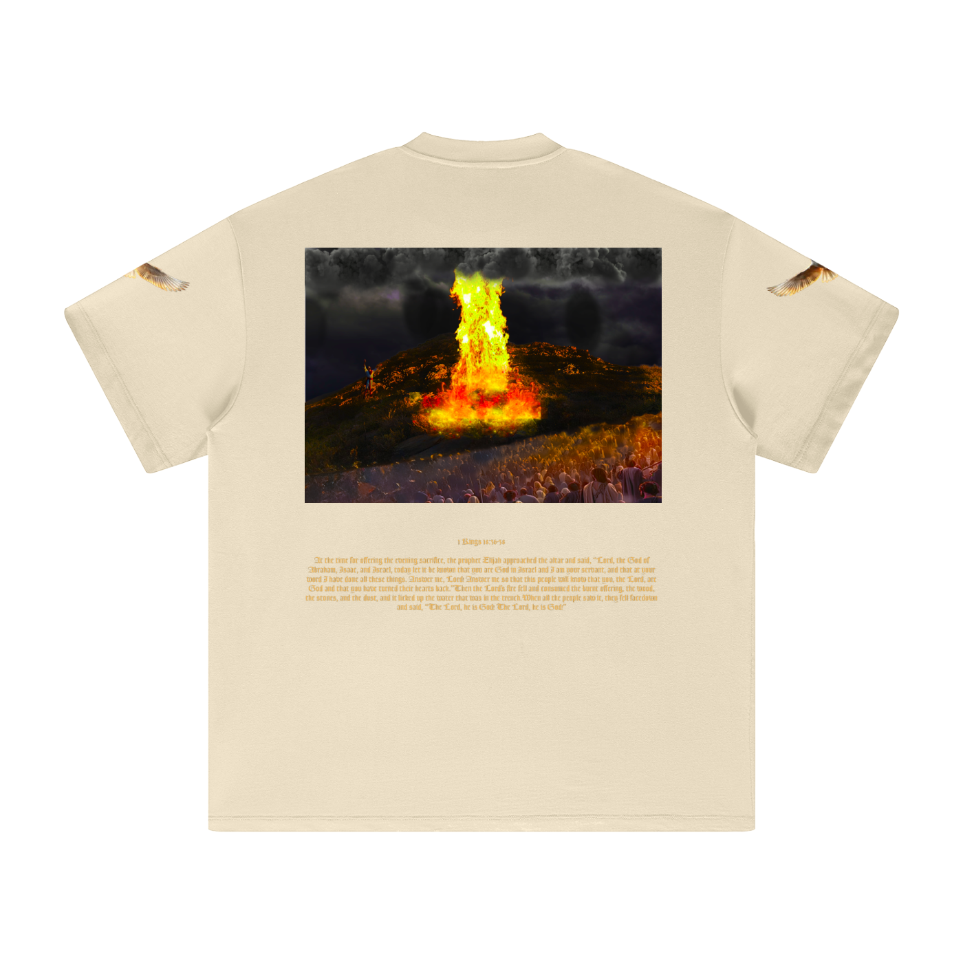 1 Kings 18:36-38 T-Shirt