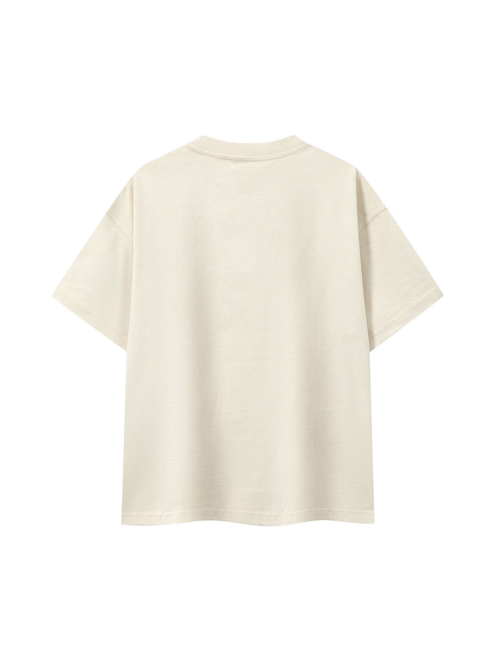 Matthew 3:13 T-Shirt